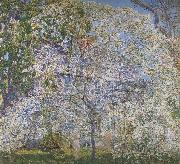 Childe Hassam Spring,The Dogwood Tree china oil painting artist
